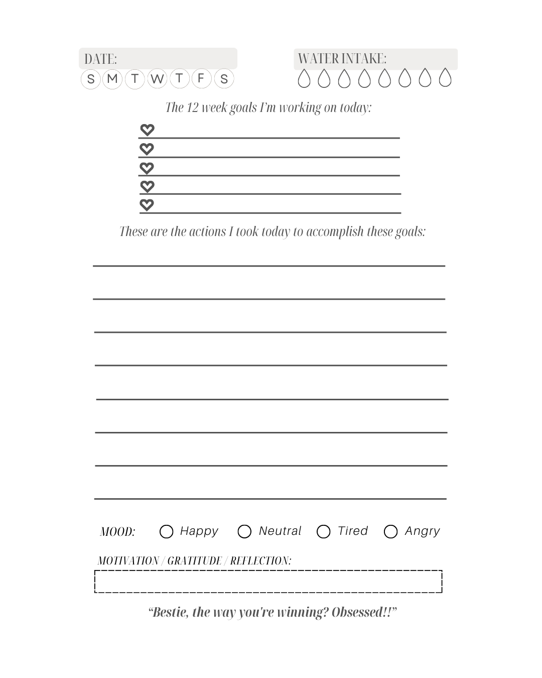 Accountability Bestie 12 Week Guided Planner